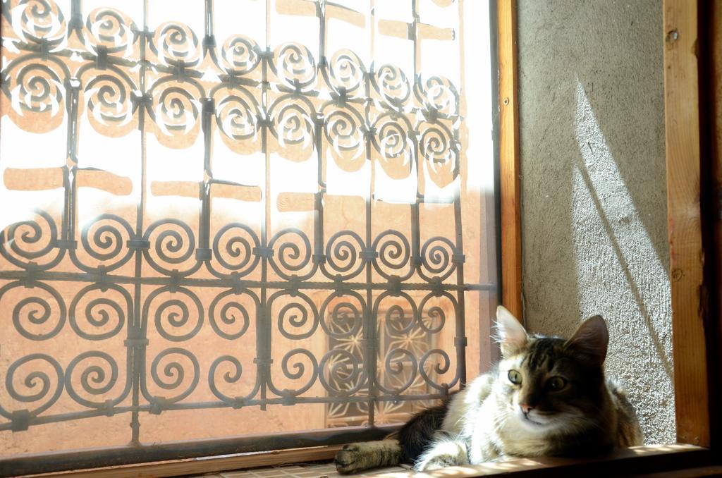Maison D'Hotes Dar El Nath Ouarzazate Exteriör bild