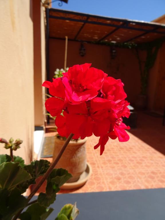 Maison D'Hotes Dar El Nath Ouarzazate Exteriör bild