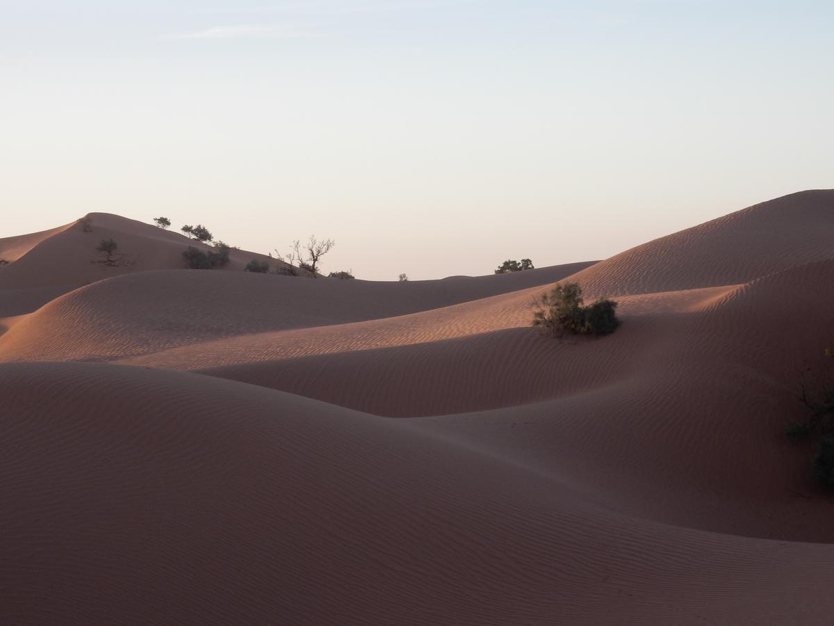 Maison D'Hotes Dar El Nath Ouarzazate Exteriör bild